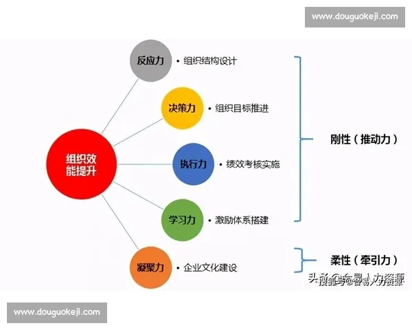 单核驱动下的团队协同进化与组织效能提升新路径研究实践探索模式